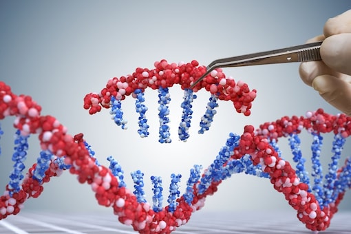 Doctors use CRISPR-Cas9, a kind of molecular scissors, to edit the genes that carry instructions for making haemoglobin in those cells. (Shutterstock)